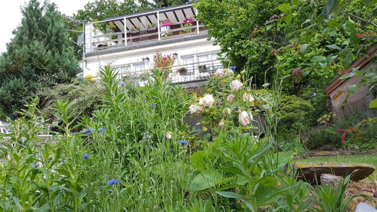 Les Iris Chambres D'Hote Niedermorschwihr 外观 照片